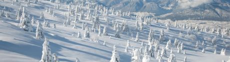 Winter 2023-2024