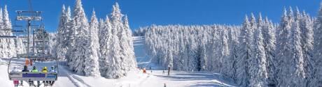 Volgende winter
