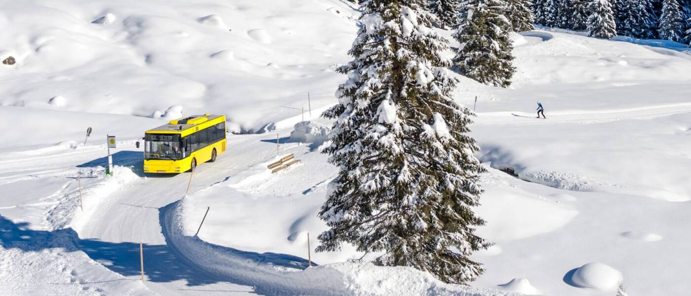 Transport en transfer