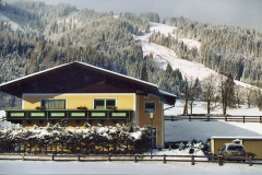 wens-chalet-winklalm01_2.png