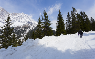 Ehrwalder Alm small shutterstock 421063486